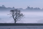 ab621 Bembridge windmill at dawn