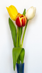 Floral2-9