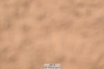 260426-121140-18917