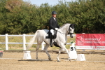 SBM_008495