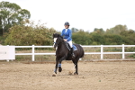 SBM_008658