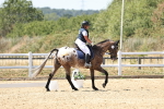 SBM_002641