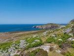RSPB Ramsey Island, Pembrokeshire
