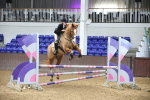 SBM_001781