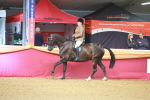 SBM_10608