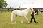 SBM_04222