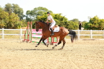 SBM_002674