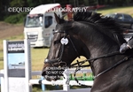 BPP_6346