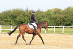 SBM_001529