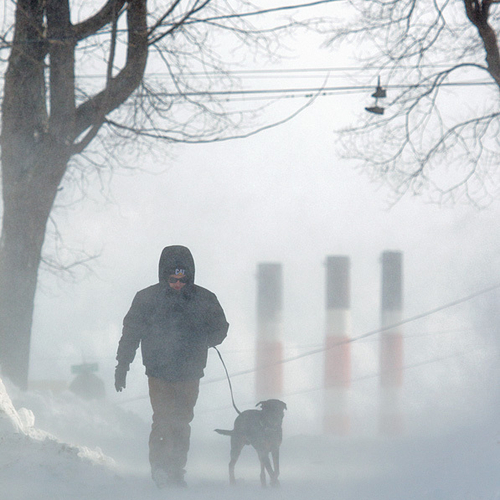 Man & dog brave the elements during a February blizzard in Saint John, NB.