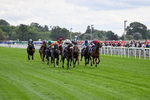 210826-Race 3-Arapaho Gold-5722