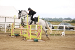 SBM_025653