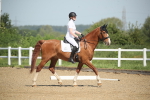 SBM_007971