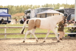 SBM_08170