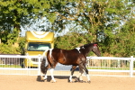 SBM_07958