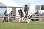 SBM_17150