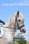 BPP_7441