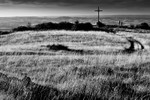 The Cross