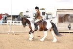 SBM_04267