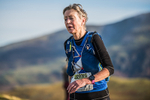 Sale Fell-660