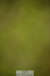 240523B-121200-02168