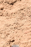 230526A-114500-01574
