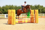 SBM_001101