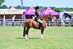 SBM_15402