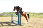 SBM_003341