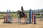 SBM_001485