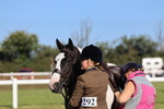 Class 28: Ridden Plaited Coloured Pony portfolio