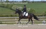 BPP_6169
