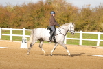 SBM_000910