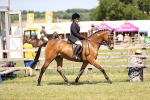 SBM_17975