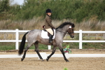 SBM_001843