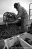 HCF017: Working the pots
