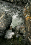 between a rock and a hard place