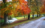 Autumn-in-the-Vale-of-Clwyd