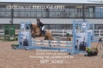 BPP_4269