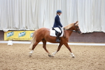 SBM_000558