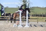 BPP_6933