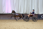SBM_000677