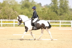SBM_007858