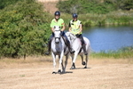 WJ6_8877