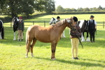 SBM_60947
