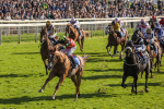 141023-Race 3-Montassib-0411