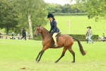 SBM_74034
