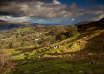 Brecon Pony Trekking