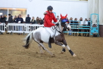 SBM_003926