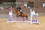 BPP_6393